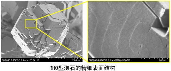 20260409 细胞生物学平台日立（Hitachi）SU8600冷场发射扫描电子显微镜上机培训通知 内插1.jpg